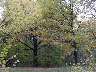 Photo from 11 October 2010