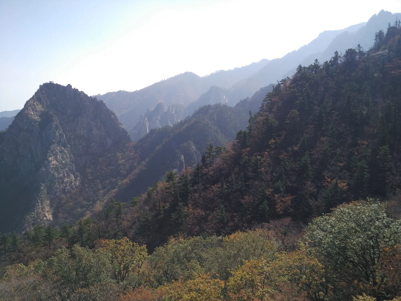 Sokcho, South Korea — 19 October 2016