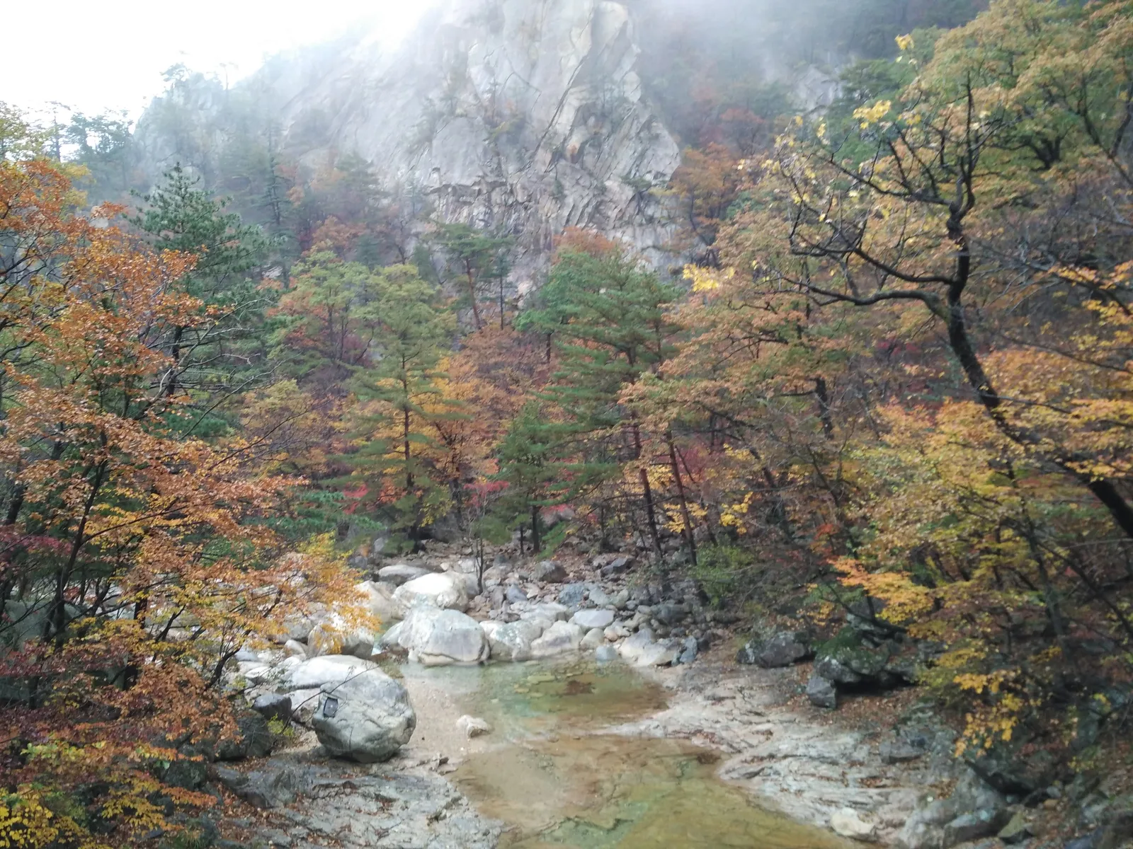 Photo from 21 October 2016