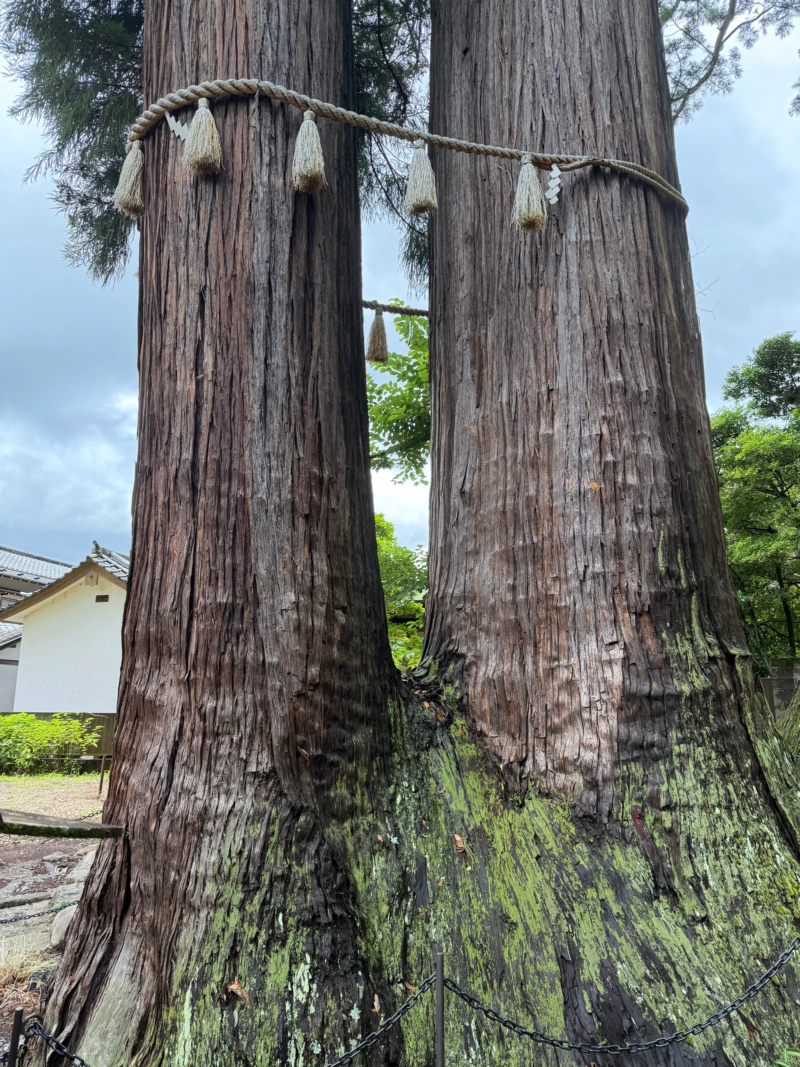 Shuzenji, Japan — 18 June 2026