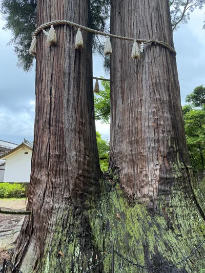 Shuzenji, Japan — 18 June 2026