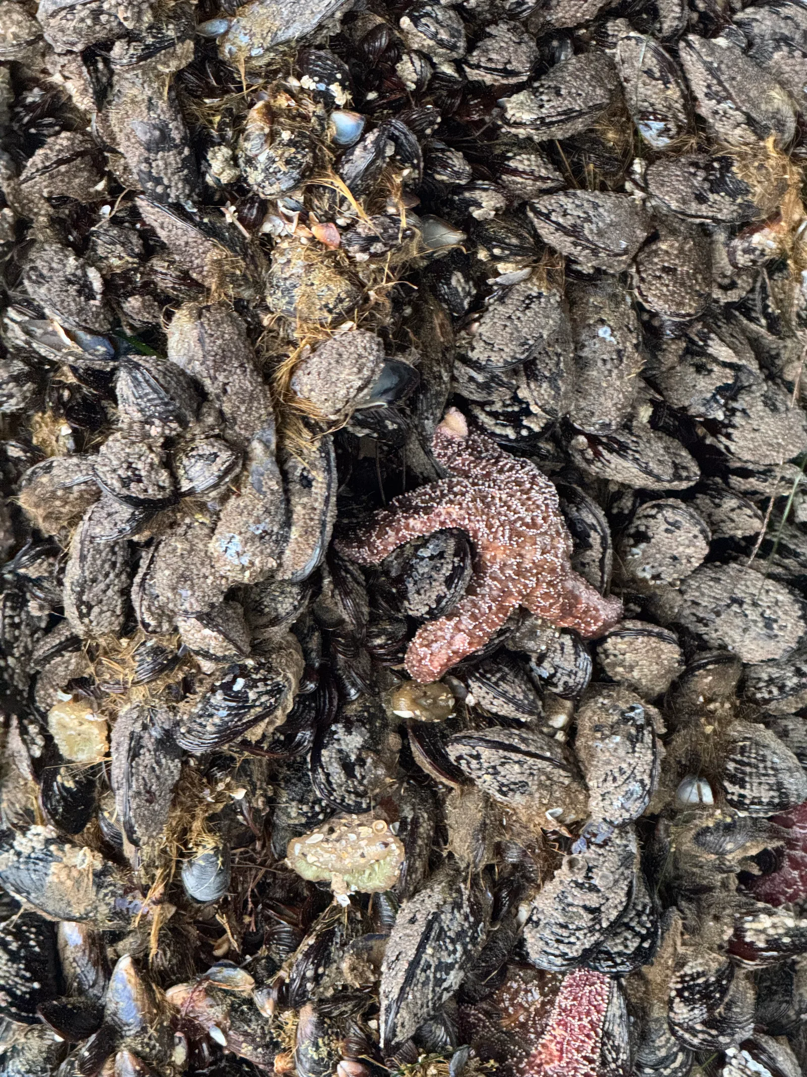 Santa Cruz, United States — 21 October 2025