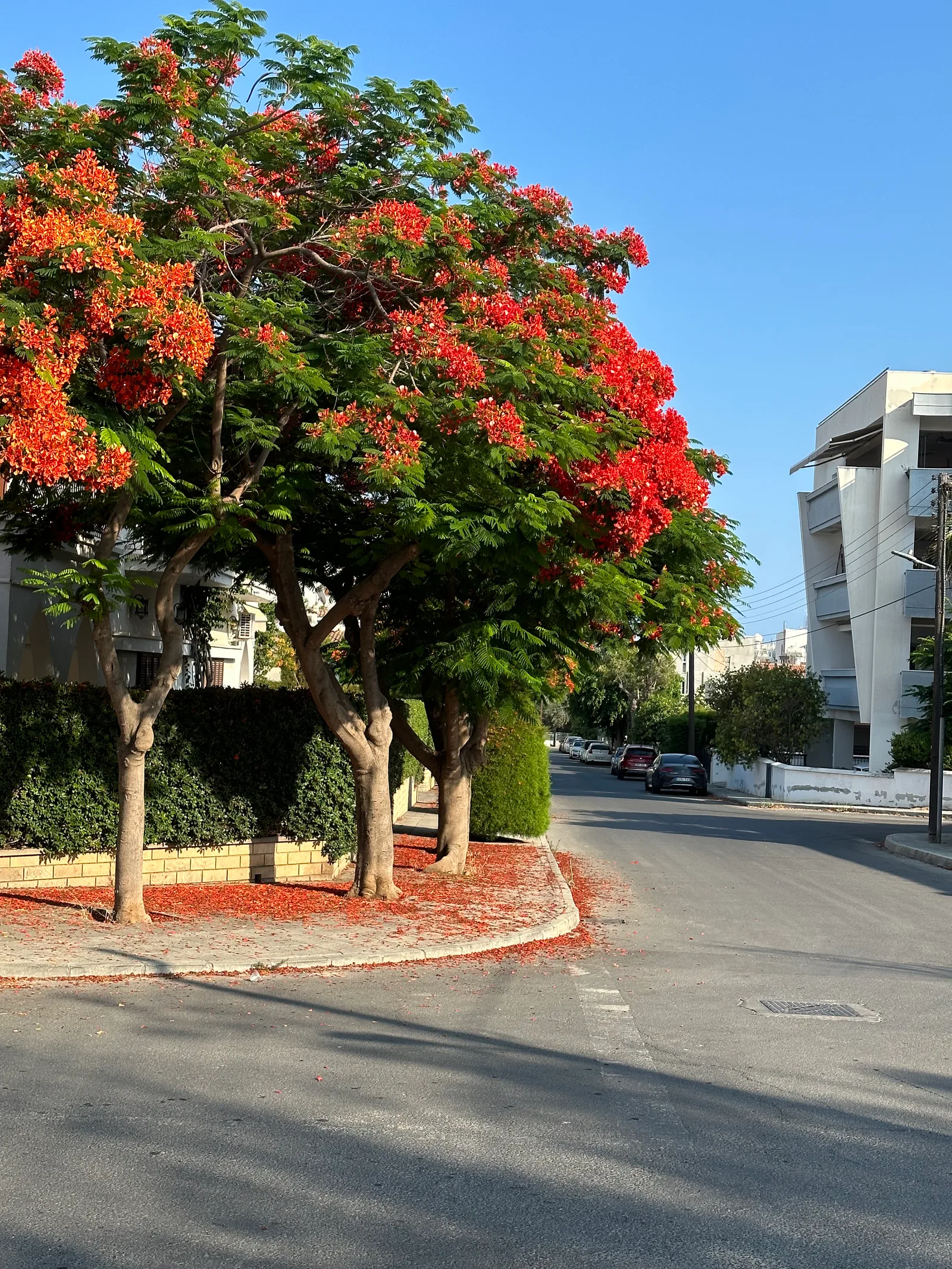 Limassol, Cyprus — 1 July 2023