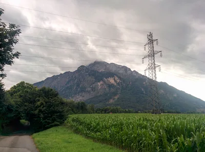 Photo from 13 July 2015
