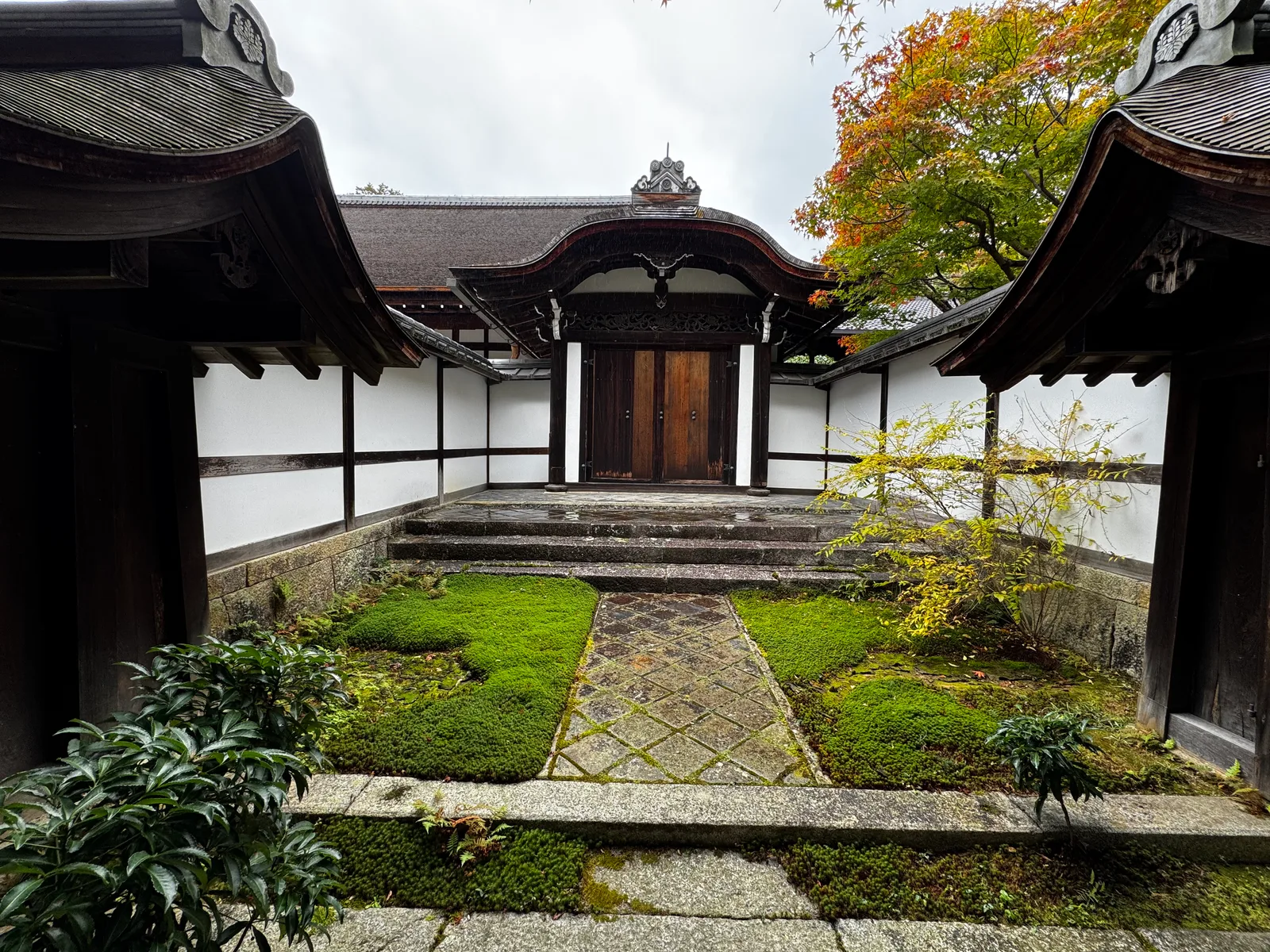 Kyoto, Japan — 24 November 2024