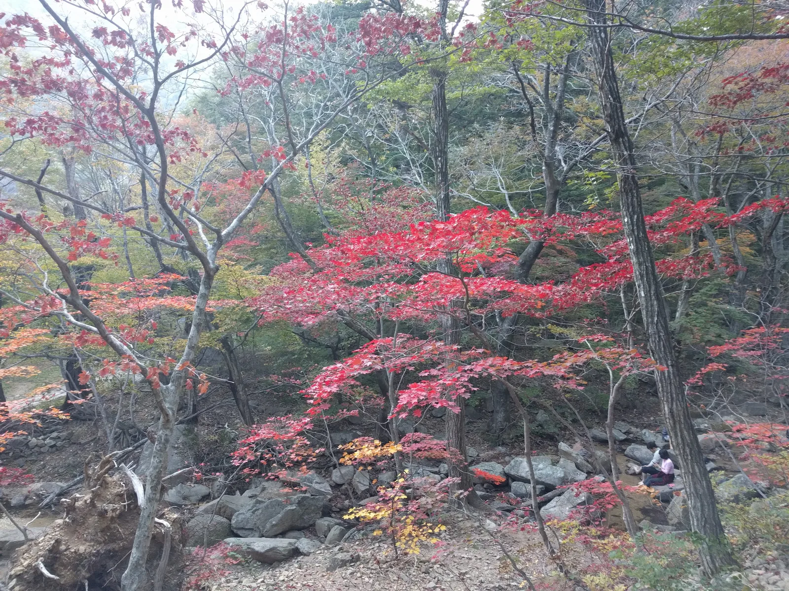 Sokcho, South Korea — 19 October 2016