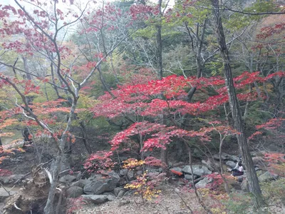 Sokcho, South Korea — 19 October 2016