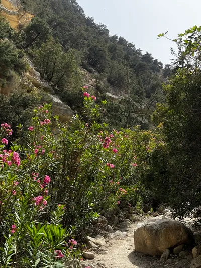 Pégeia, Cyprus — 19 May 2024