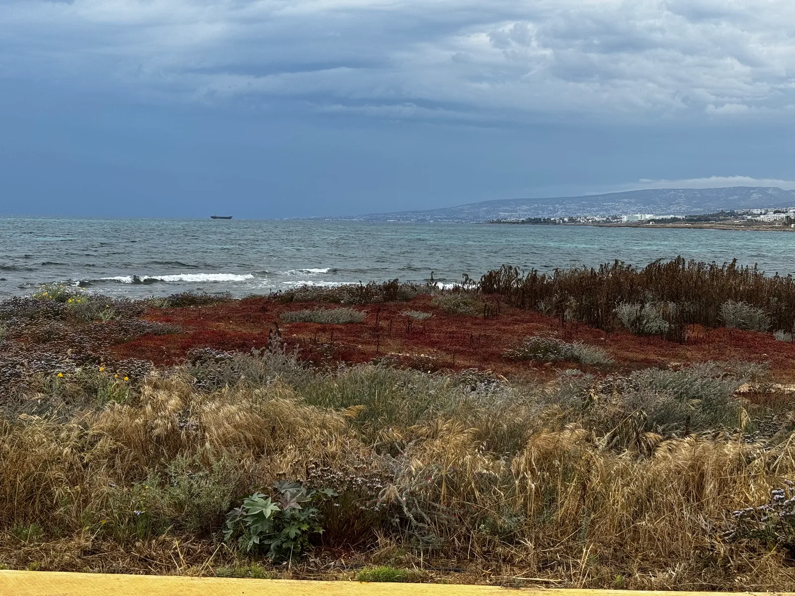 Paphos, Cyprus — 31 May 2025