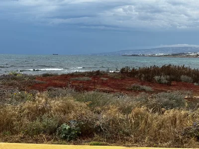 Paphos, Cyprus — 31 May 2025