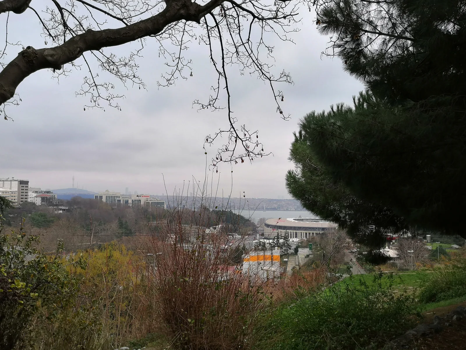 Photo from 31 December 2019