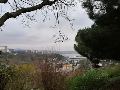 Photo from 31 December 2019