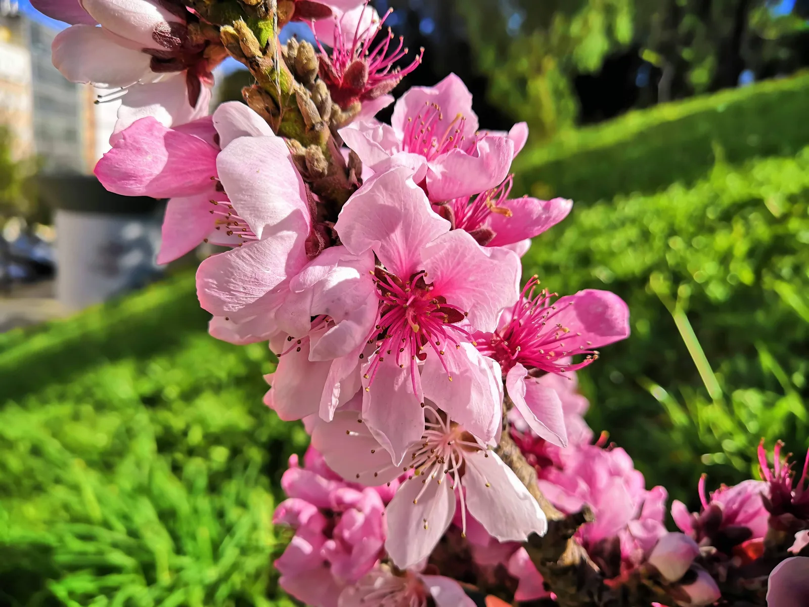 Photo from 20 March 2019