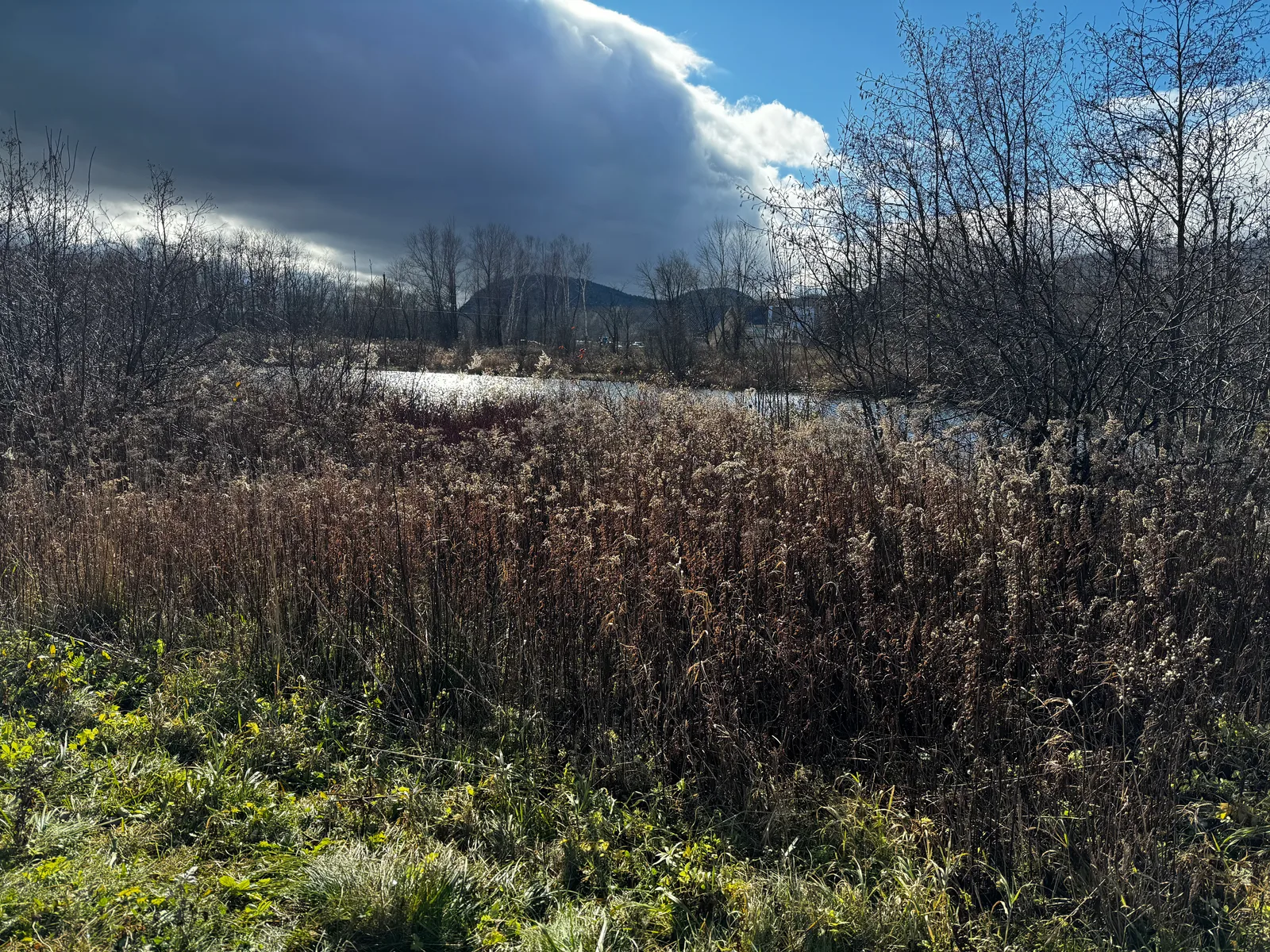 Adams, United States — 14 November 2023
