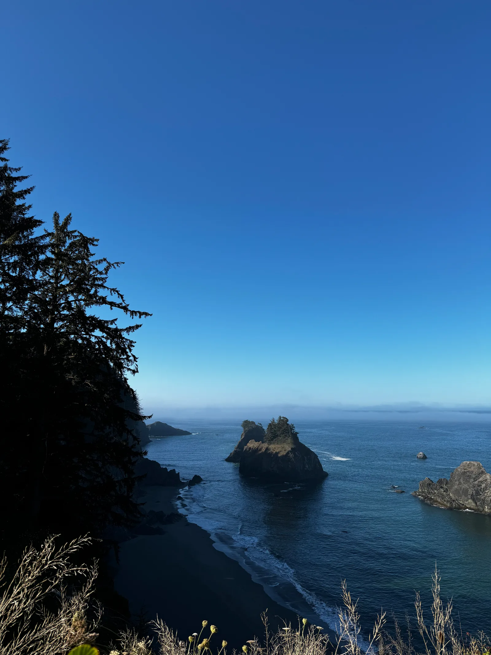 Brookings, United States — 27 August 2024