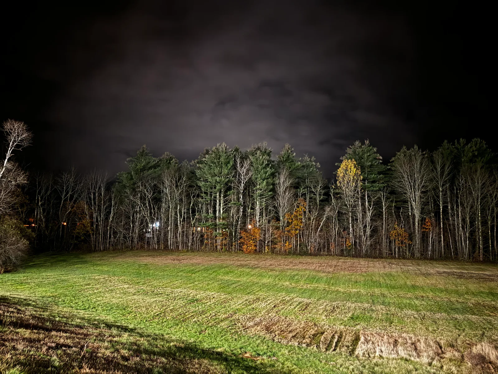 North Conway, United States — 10 November 2023