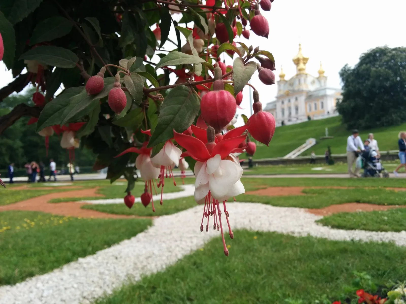Photo from 14 June 2015