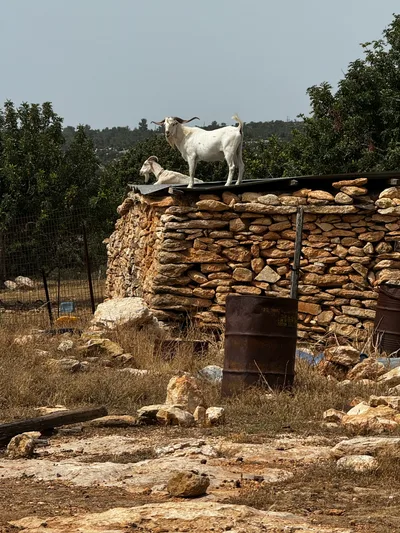 Pégeia, Cyprus — 19 May 2024