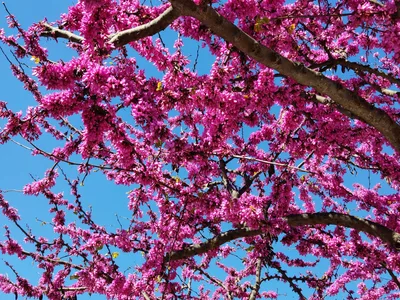 Photo from 22 March 2019