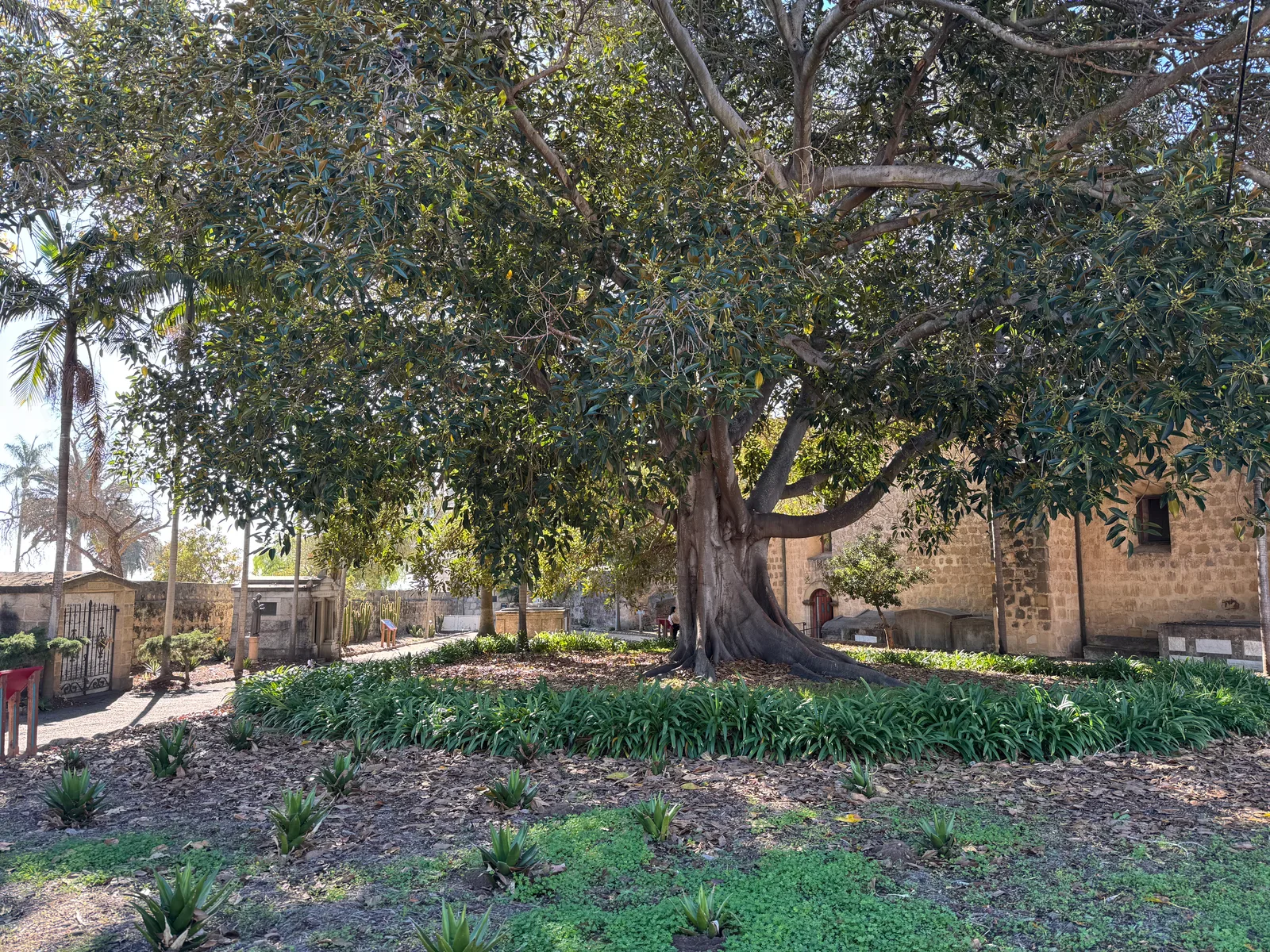 Mission Canyon, United States — 28 October 2025