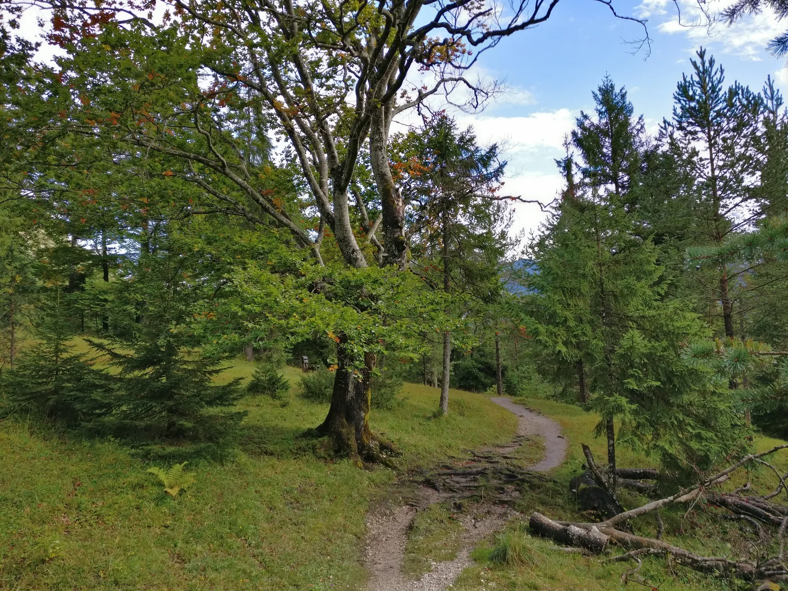 Maurach, Austria — 17 September 2017