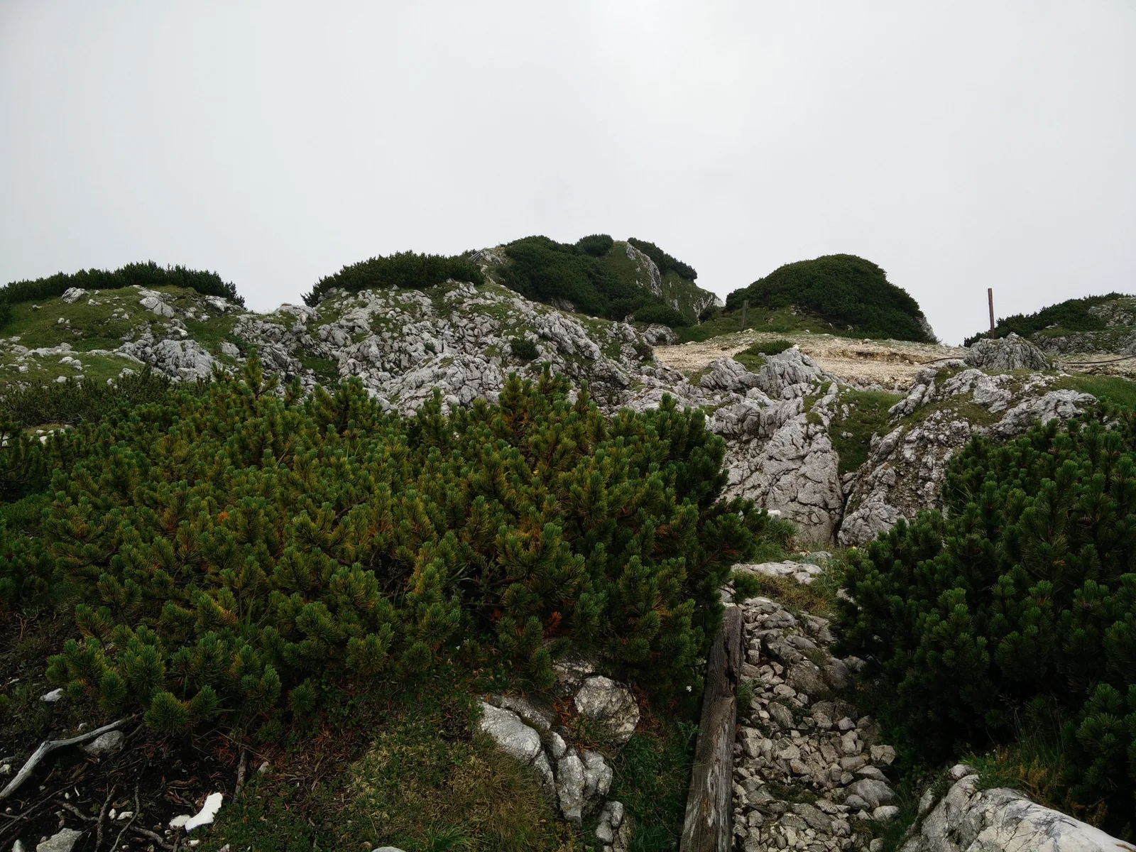 Photo from 14 July 2015