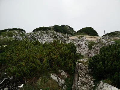 Photo from 14 July 2015