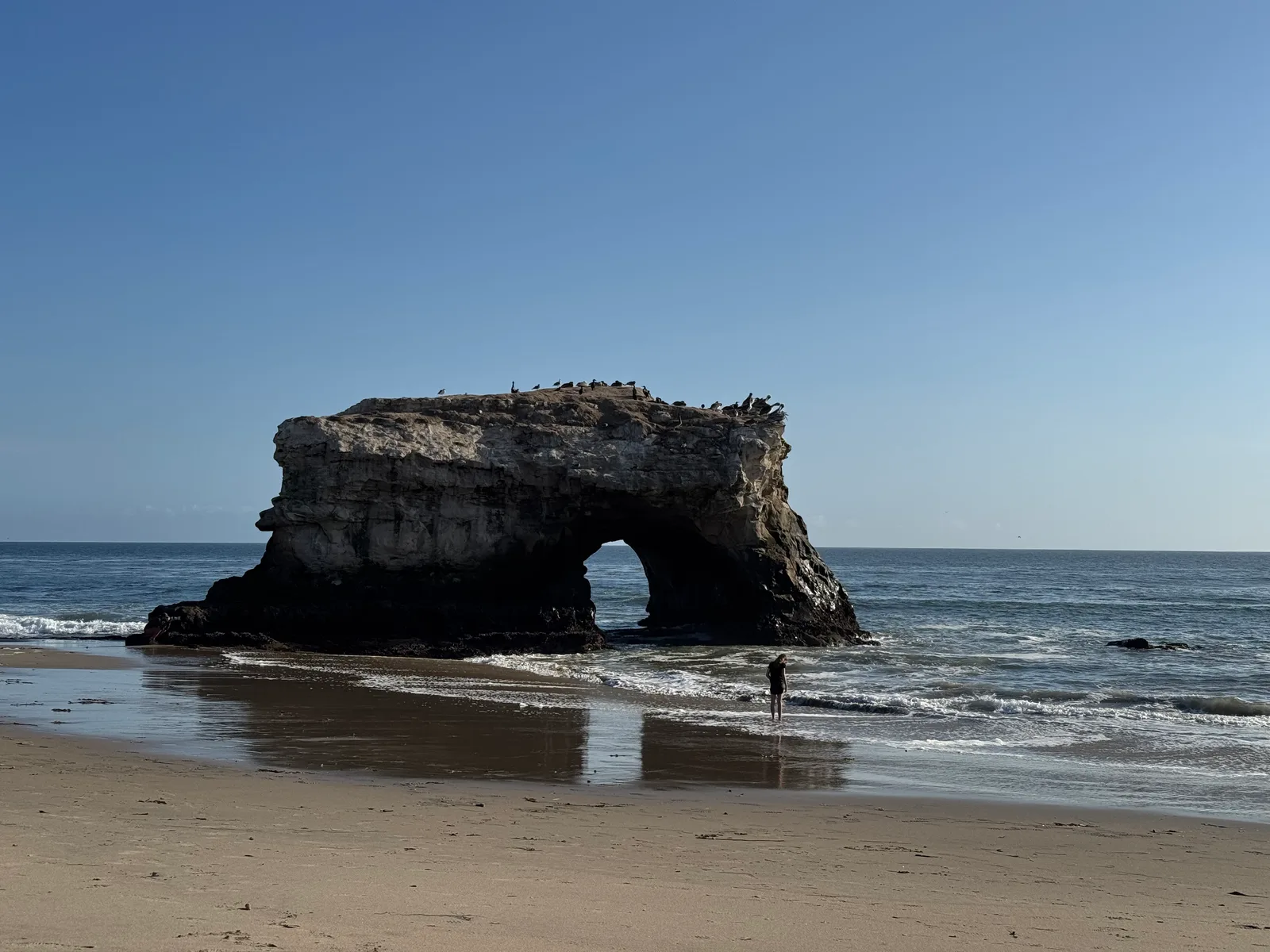 Santa Cruz, United States — 22 October 2025