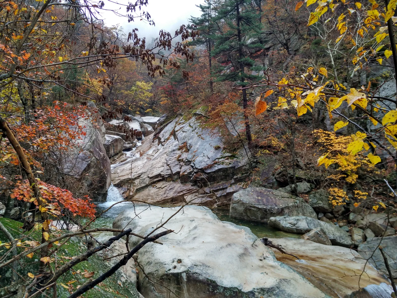 Sokcho, South Korea — 21 October 2016