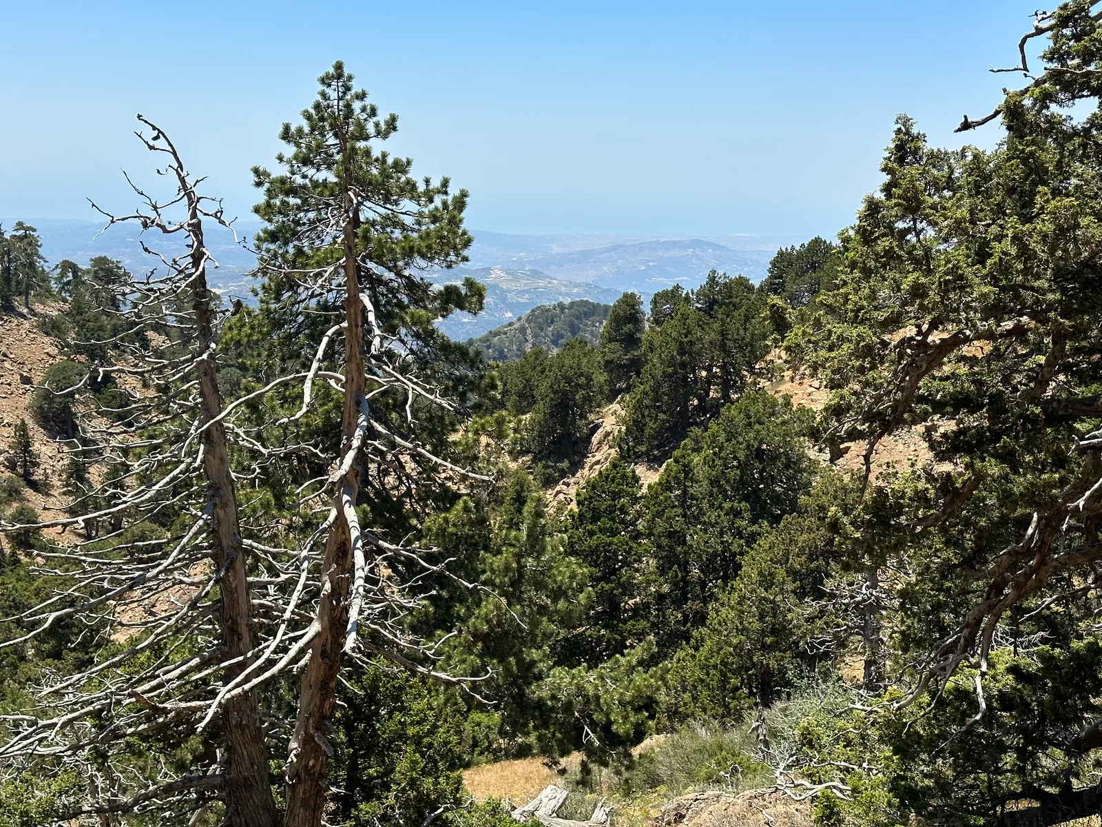 Tróodos, Cyprus — 24 June 2023