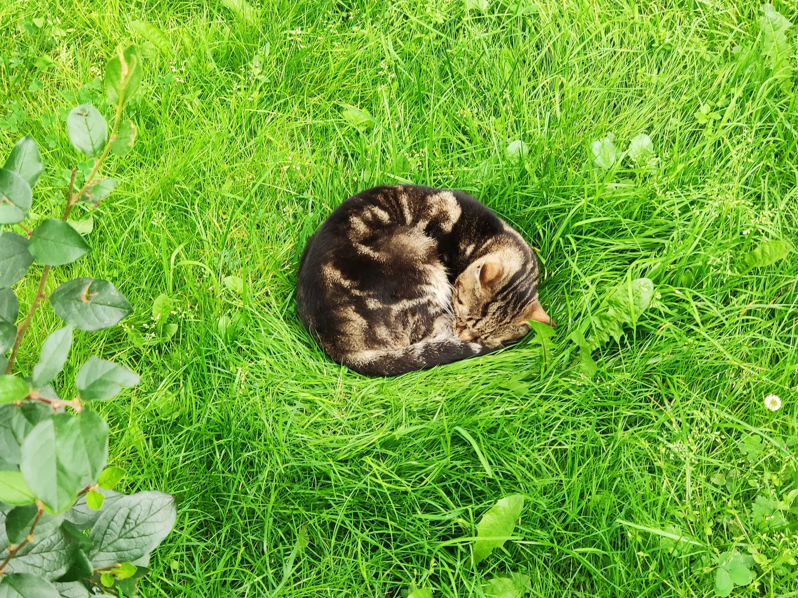 Photo from 29 July 2019
