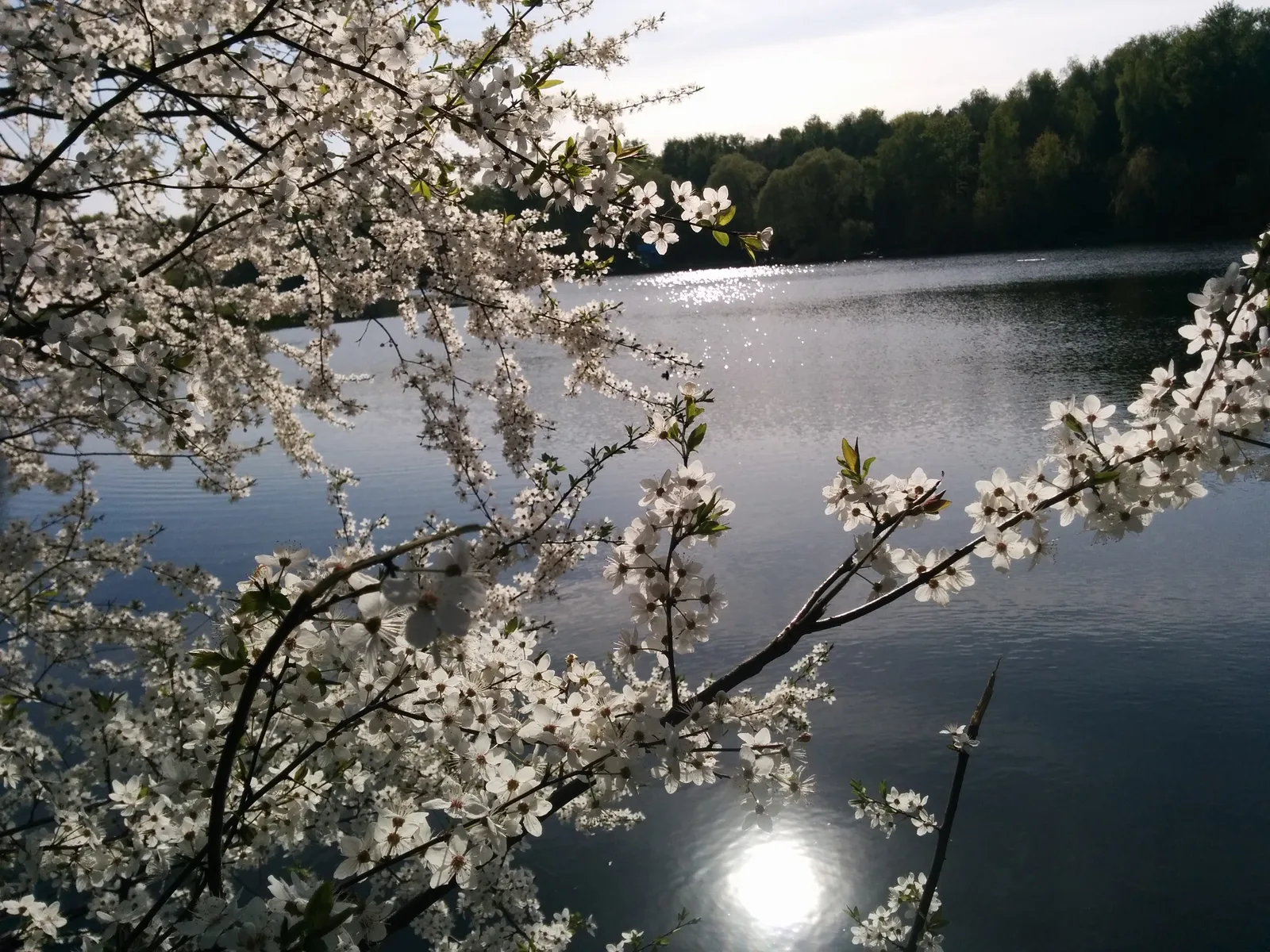 Photo from 9 May 2015