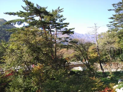 Sokcho, South Korea — 19 October 2016