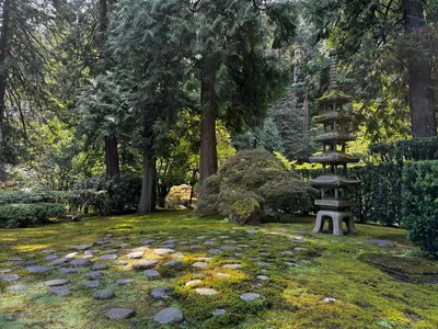 Portland, United States — 24 August 2024