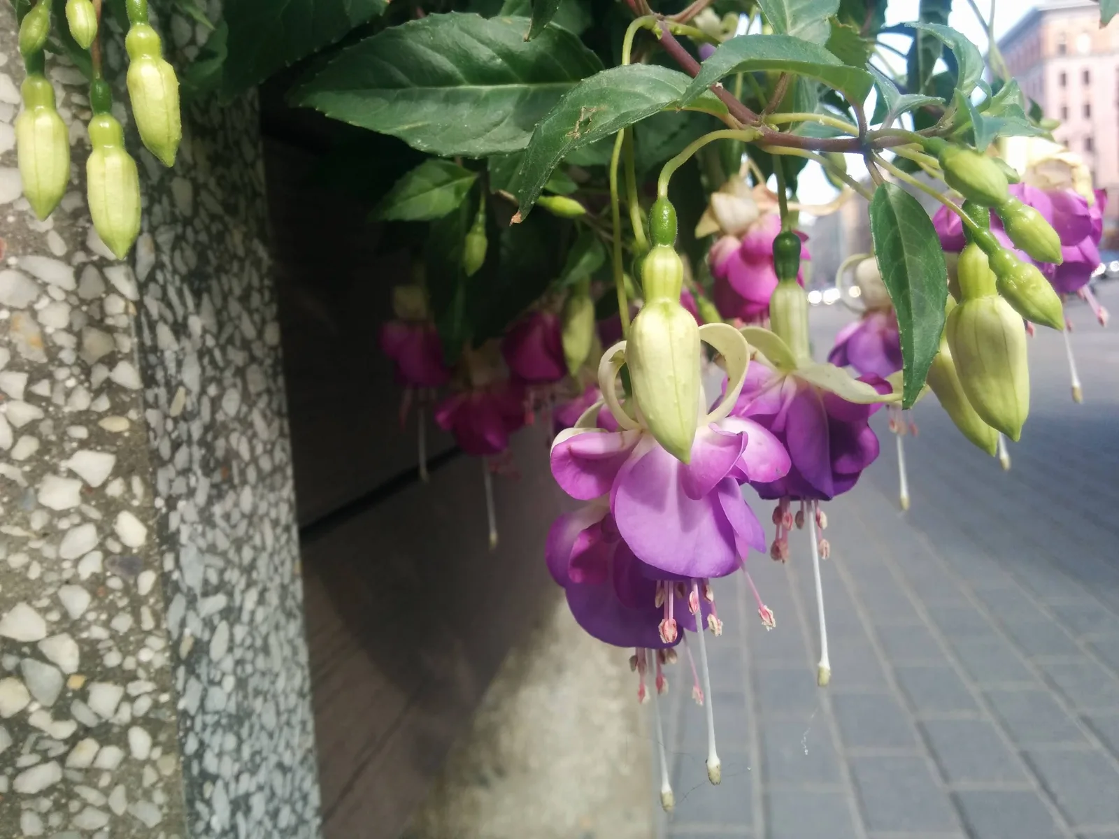 Photo from 2 June 2015