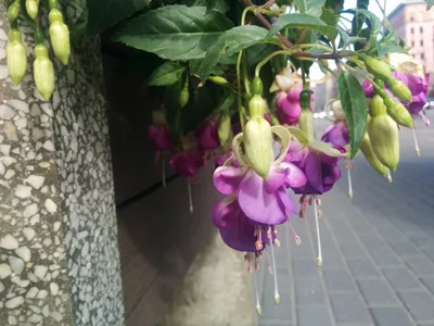Photo from 2 June 2015