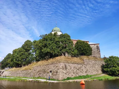Photo from 25 August 2019