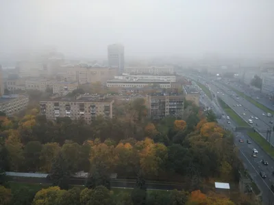 Photo from 7 October 2016