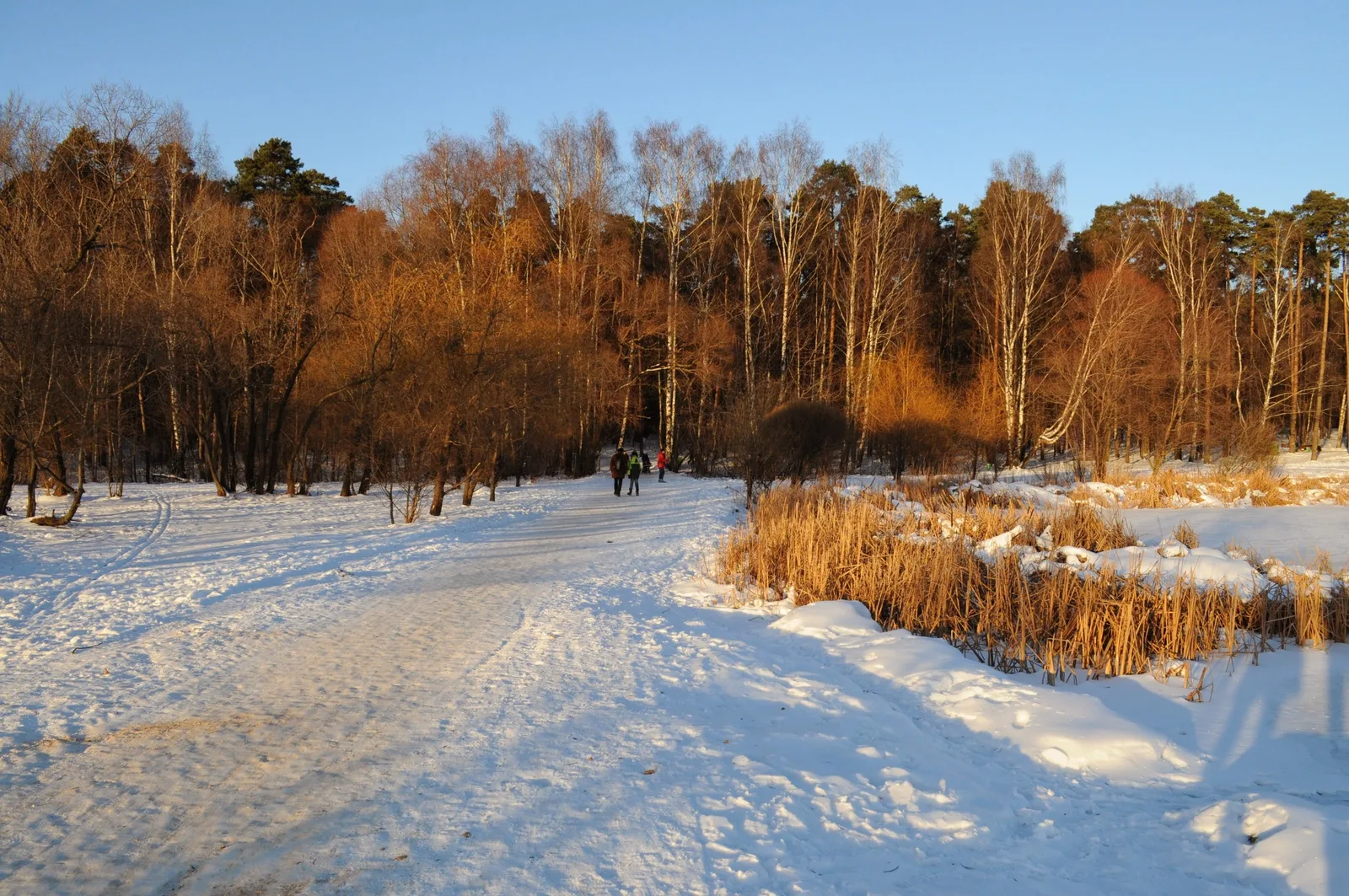 Photo from 15 December 2013