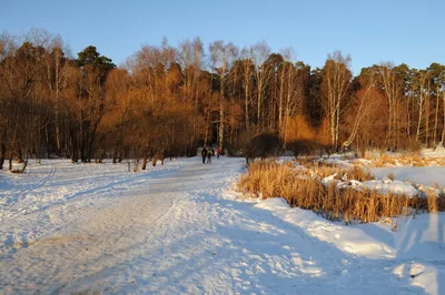 Photo from 15 December 2013