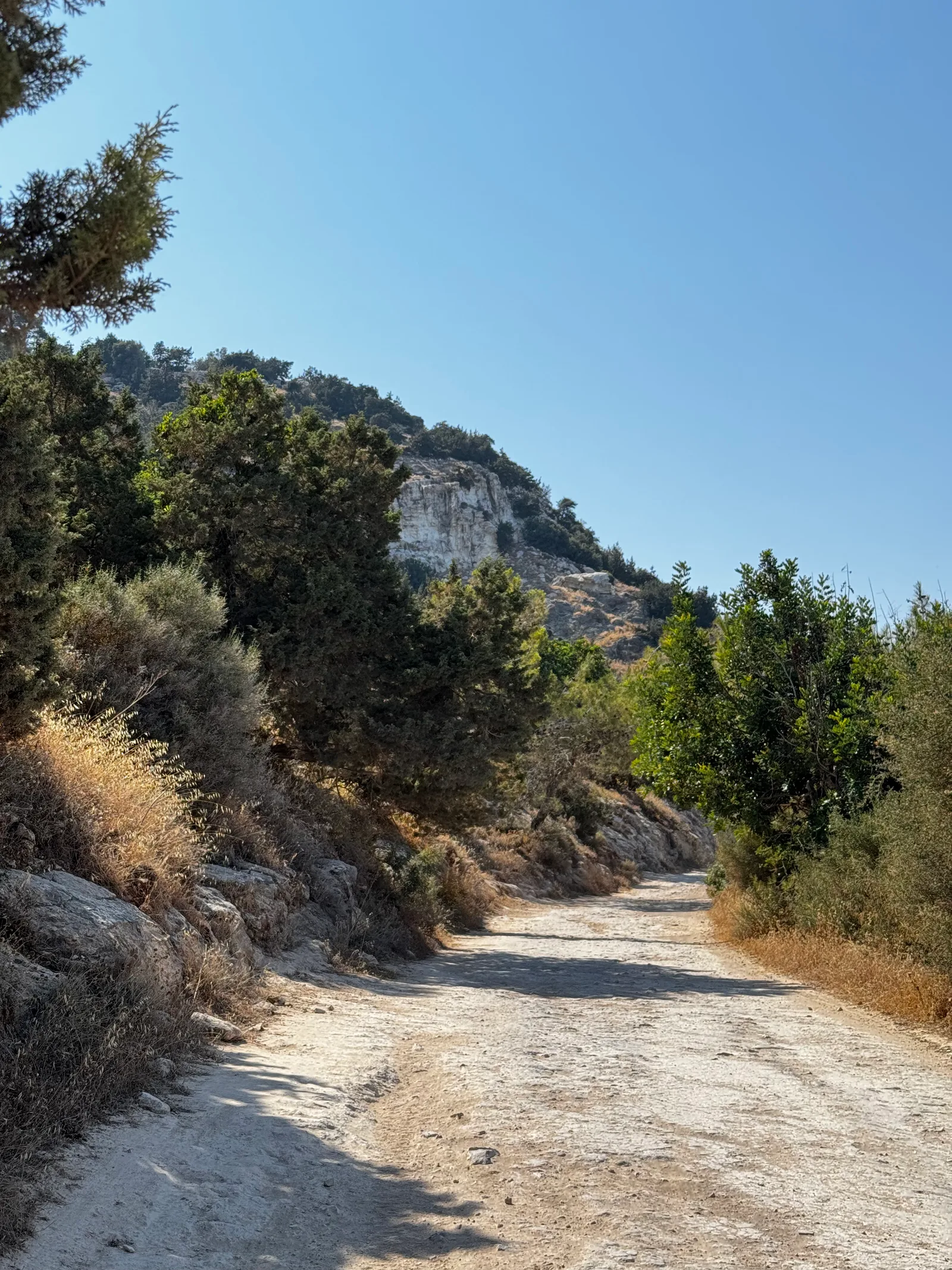 Pólis, Cyprus — 13 June 2025