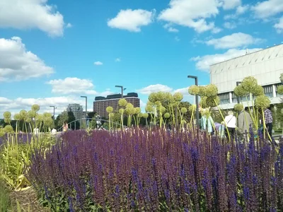 Photo from 22 June 2014