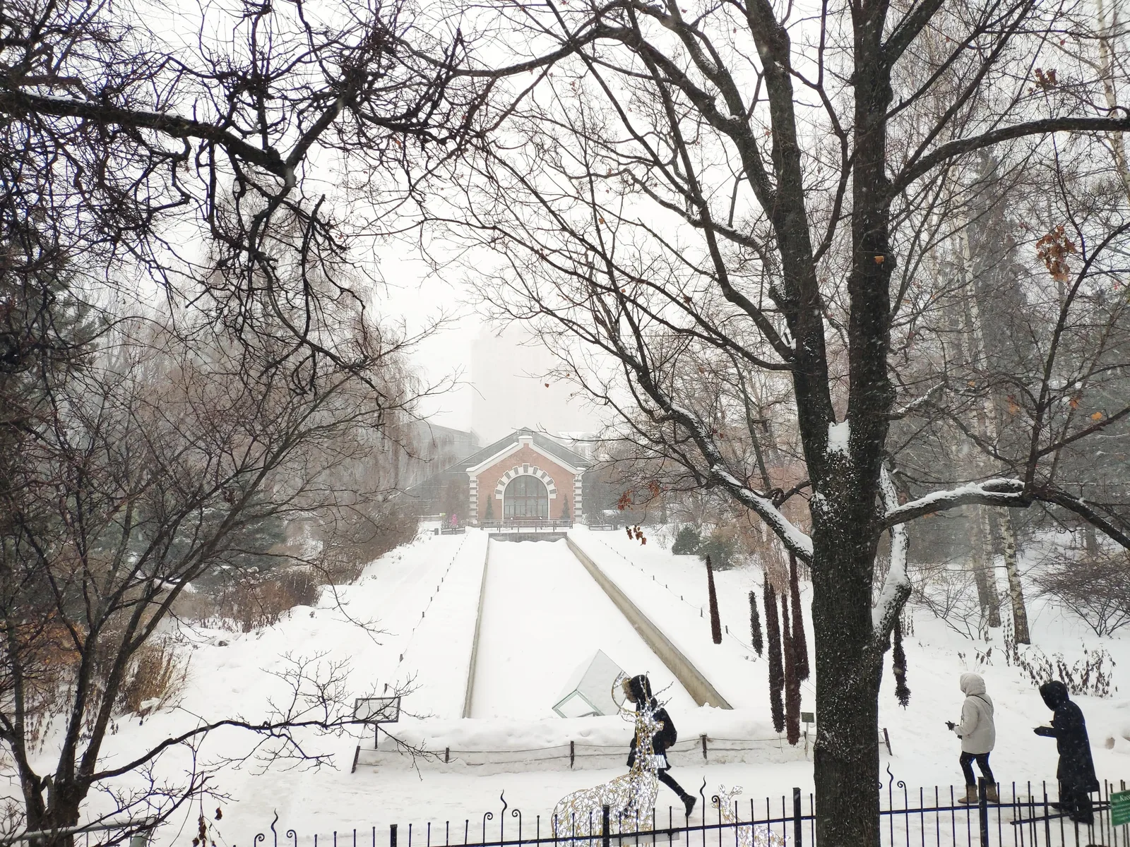 Photo from 26 January 2019
