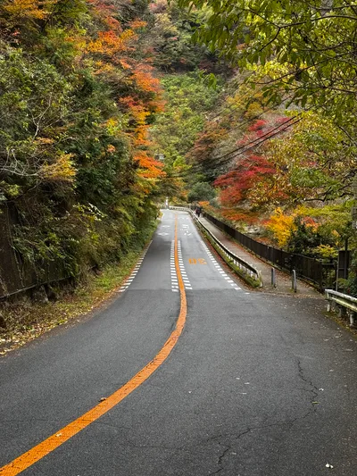 Minoh, Japan — 26 November 2024