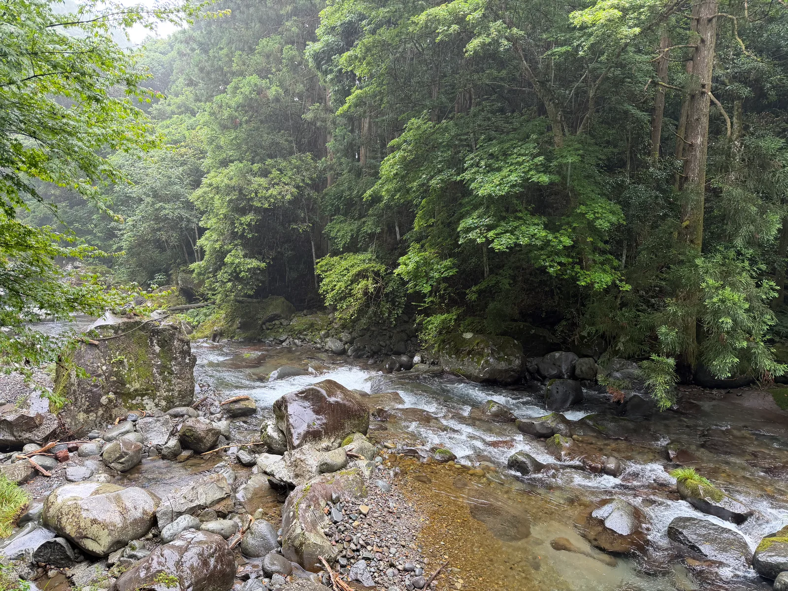 Kawazu-ikadaba, Japan — 20 June 2026