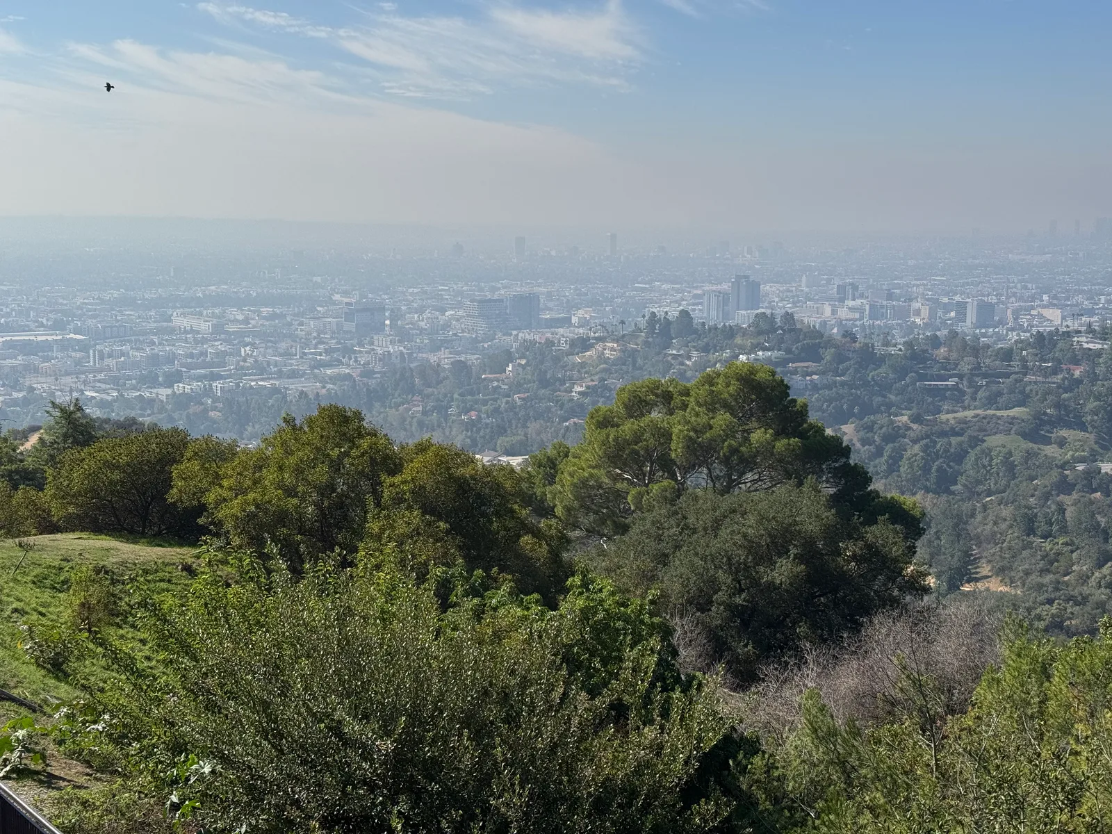 Hollywood, United States — 31 October 2025