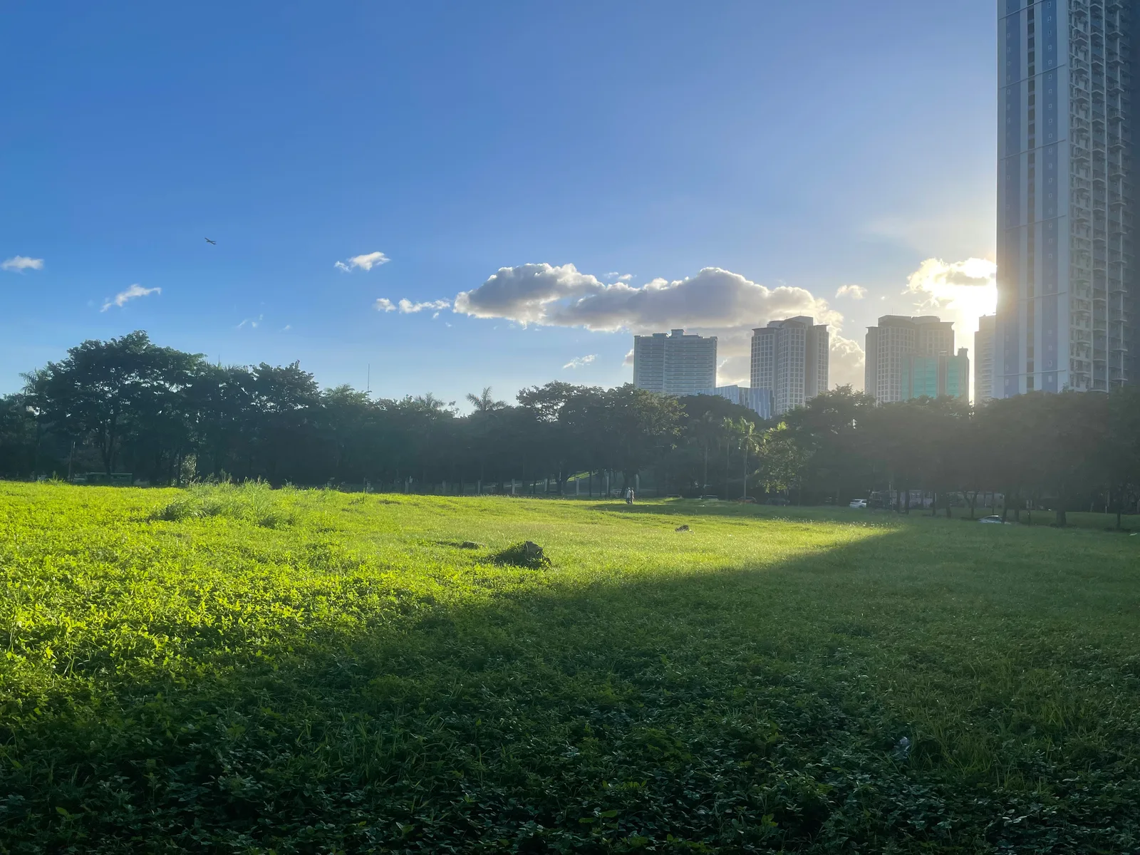 Makati City, Philippines — 14 November 2022