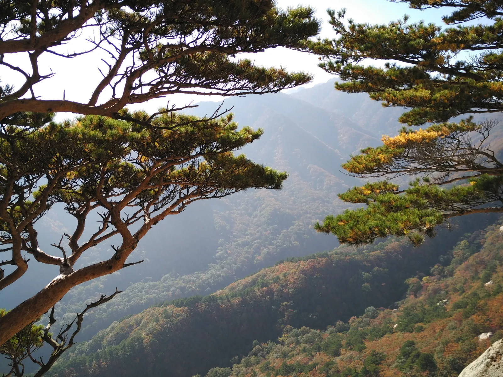 Sokcho, South Korea — 19 October 2016