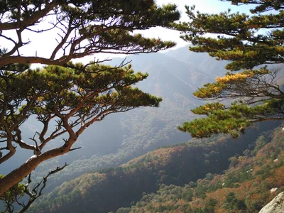 Sokcho, South Korea — 19 October 2016