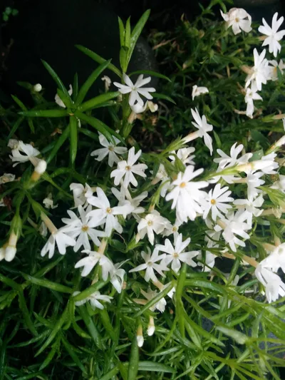 Photo from 31 May 2015